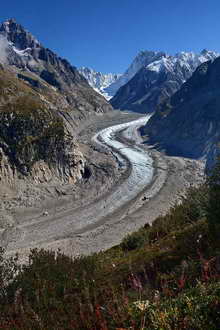 Mer de Glace en 2015