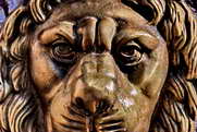 Lion au Pays des �crins - Mais o� se trouve-t-il donc ?