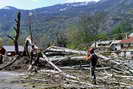 Vallouise - Abattage du peuplier - 2 mai 2006