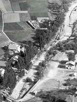 Vallouise - Alignement de peupliers à l'entrée du bourg