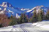 Les pistes de ski de fond de Puy-Saint-Vincent, au dessus du Col de la Pousterle