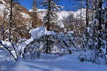 Abondance de neige en vallée