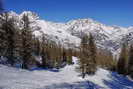 Puy-Saint-Vincent - Piste des Crêtes (dans le bois)