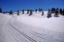 Puy-Saint-Vincent - Ski de fond aux Têtes