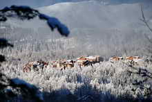 Puy-Saint-Vincent en avril