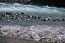 Vallouise - L'Onde et le Gyr au barrage