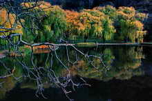 La Roche-de-Rame - Frondaisons d'automne sur le lac