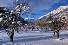 La Vallouise - Manteau hivernal