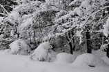 La Vallouise sous la neige