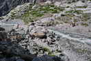 Foule des grands jours sur le sentier du Glacier Blanc