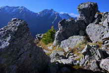 Pays des Écrins - Vallon du Fournel et Crête de Dormillouse