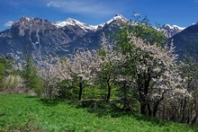 Pays des Écrins : Le printemps, enfin !