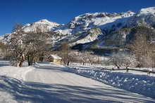 Vallouise - Chemin du Sud - Sainte-Appolonie