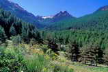 Saint-Martin-de-Queyrires - Vallon de Saint-Sbastien