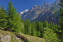 Ailefroide - Vallon de Saint-Pierre