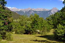 Vallouise - Champ Clément