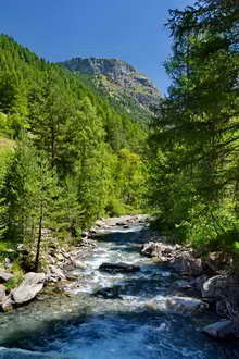 L'Argentière- Vallon du Fournel