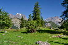 L'Argentière - Secteur du Col d'Anon, les Lauzes