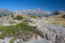 Les Têtes - Panorama des Écrins