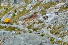 Glacier Blanc - Réfection du chemin