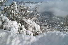 Vallouise - Au lendemain d'une chute de neige