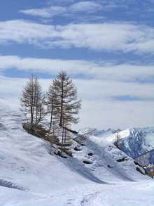 Pelvoux - Vallon de Chambran