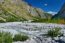 Pré de Madame Carle - Le torrent et la masse de graviers dominant le bosquet