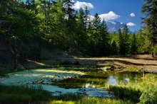 Col de la Pousterle - Lac des Charbonnières