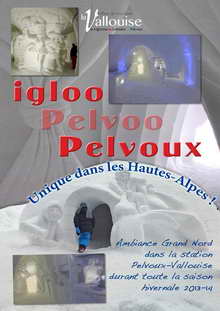 Igloo-Pelvoo