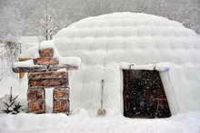 Igloo-Pelvoo