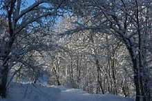 Vallouise - Lendemain de fortes chutes de neige