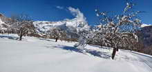 Vallouise - Lendemain de fortes chutes de neige