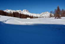 Puy-Saint-Vincent - Alpage de Tournoux