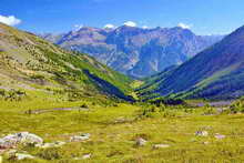 Puy-Saint-Vincent - Combe de Narreyroux - Massif de Montbrison