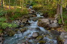 Vallouise - Torrent de la Combe de Narreyroux