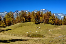 L'Argentière-la-Bessée - Les Têtes, Lac des Poutilles