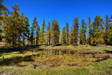 L'Argentière-la-Bessée - Lac des Sagnes