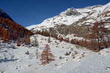 Freissinières - Dormillouse, vallon de Chichin