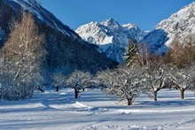 Vallouise - Vallée de l'Onde, massif de Bonvoisin