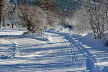 Vallouise - Arbres de neige