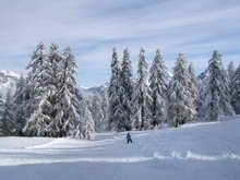 Puy-Saint-Vincent - Ambiance neigeuse