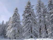 Puy-Saint-Vincent - Ambiance neigeuse