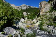 Massif de Montbrison - Le Rif Paulin