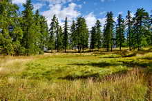 Les Vigneaux - Lac des Sagnes