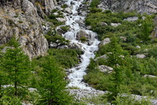 Pré de Madame Carle - Torrent du Glacier Blanc