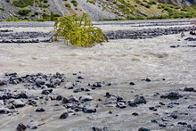 Pré de Madame Carle - Torrent de Saint-Pierre en débordement