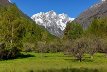 Vallouise - Vallée de l'Onde, massif de Bonvoisin