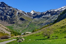 La Vallouise - Vallon de Chambran