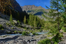 Pelvoux - Vallon de Celse Nière