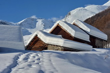 Puy-Saint-Vincent - Combe de Narreyroux